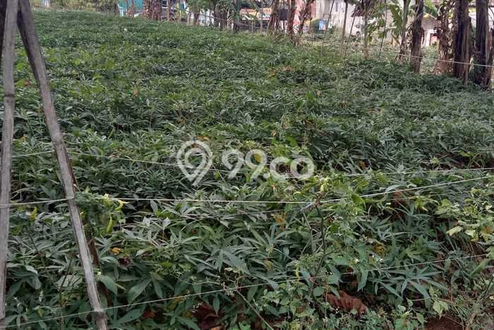 Tanah Kavling di Ngamprah Dijual dengan Luas 363m2 Tanah Kavling di Ngamprah Dijual dengan Luas 363m2