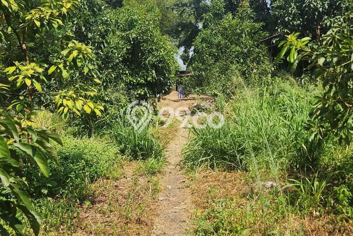 Gudang Bagus Dijual LB 2000m2 Lokasi Strategis Bandung Area Cocok untuk Berbisnis Gudang Bagus Dijual LB 2000m2 Lokasi Strategis Bandung Area Cocok untuk Berbisnis