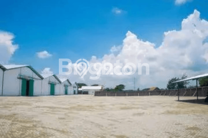 Gudang Dijual Lokasi Emas di Kertosono Luas 6527m2 Gudang Dijual Lokasi Emas di Kertosono Luas 6527m2