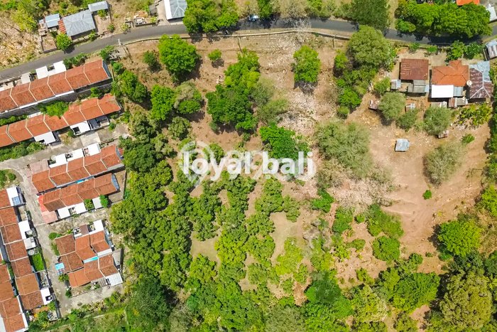 Tanah Komersial Dijual di Buleleng Buleleng 15000m2 Tanah Komersial Dijual di Buleleng Buleleng 15000m2