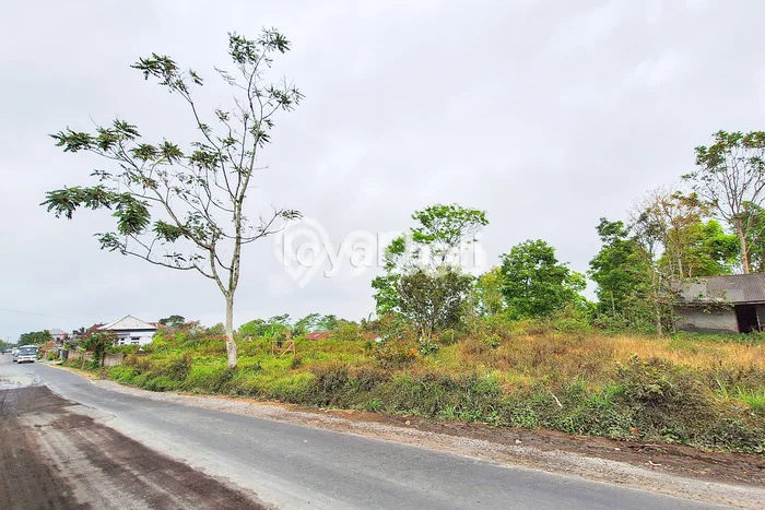 Dijual Tanah di Kintamani Bangli Luas 3700m2 SHM Dijual Tanah di Kintamani Bangli Luas 3700m2 SHM
