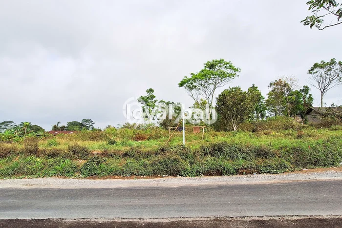 Dijual Tanah di Kintamani Bangli Luas 3700m2 SHM Dijual Tanah di Kintamani Bangli Luas 3700m2 SHM