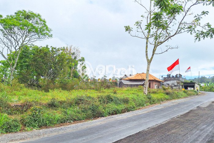 Tanah Komersial Dijual di Kintamani Bangli 3700m2 Tanah Komersial Dijual di Kintamani Bangli 3700m2