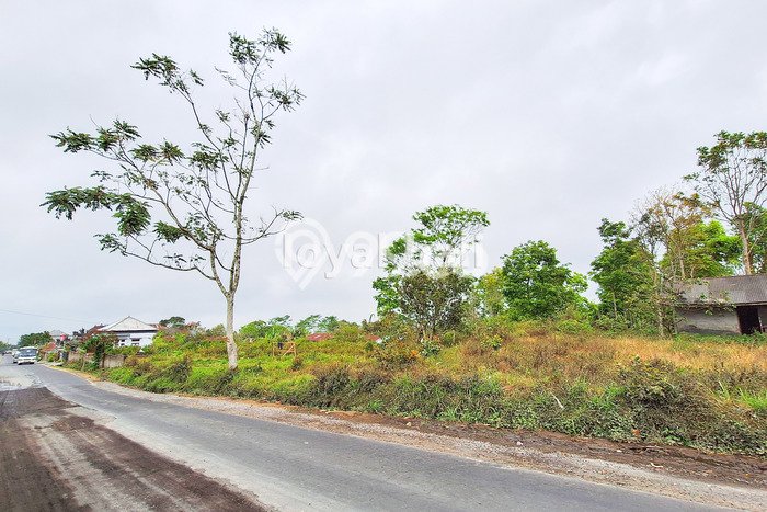 Tanah Komersial Dijual di Kintamani Bangli 3700m2 Tanah Komersial Dijual di Kintamani Bangli 3700m2