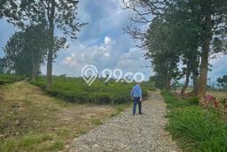 Tanah Kavling Dijual di Salabintana, Sukabumi dengan Luas Tanah 400000m2 Tanah Kavling Dijual di Salabintana, Sukabumi dengan Luas Tanah 400000m2