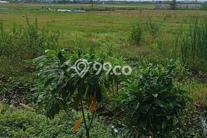 Tanah Investasi Dijual di Jakarta Utara Punya Luas 4000m2 Tanah Investasi Dijual di Jakarta Utara Punya Luas 4000m2