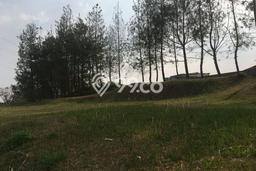 Tanah Dijual Lokasi Coblong, Bandung dengan Luas Tanah 807m2 dan Status SHM Tanah Dijual Lokasi Coblong, Bandung dengan Luas Tanah 807m2 dan Status SHM