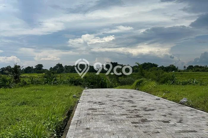 Kavling Tanah untuk Dijual di Kedungu, Tabanan, Luas 555m2 Kavling Tanah untuk Dijual di Kedungu, Tabanan, Luas 555m2