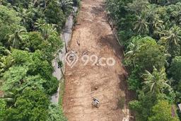 Lahan Strategis di Ubud Dijual dengan Luas 300m2 Lahan Strategis di Ubud Dijual dengan Luas 300m2