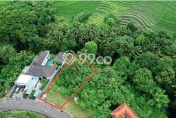 Kavling Tanah untuk Dijual di Canggu, Badung, Luas 930m2 Kavling Tanah untuk Dijual di Canggu, Badung, Luas 930m2