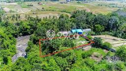 Tanah di Kediri, Tabanan Luas 1750m2 Dijual Segera Tanah di Kediri, Tabanan Luas 1750m2 Dijual Segera