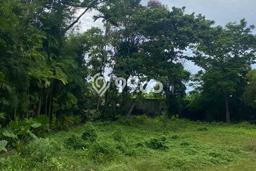 Tanah Investasi Dijual di Badung Punya Luas 2390m2 Tanah Investasi Dijual di Badung Punya Luas 2390m2