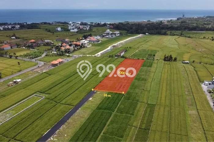 Lahan Dijual Lokasi Strategis di Badung dengan Luas 3000m2 Lahan Dijual Lokasi Strategis di Badung dengan Luas 3000m2