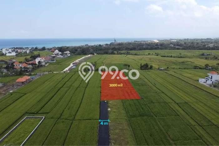 Lahan Dijual Lokasi Strategis di Badung dengan Luas 3000m2 Lahan Dijual Lokasi Strategis di Badung dengan Luas 3000m2