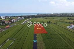 Dijual Tanah 3000m2 di Cemagi, Badung Dijual Tanah 3000m2 di Cemagi, Badung