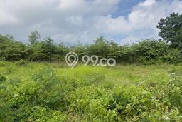 Kavling Tanah untuk Dijual di Kutuh, Badung, Luas 307m2 Kavling Tanah untuk Dijual di Kutuh, Badung, Luas 307m2