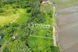 Tanah Investasi Dijual di Tabanan Punya Luas 245m2 Tanah Investasi Dijual di Tabanan Punya Luas 245m2