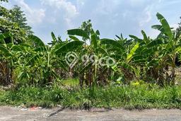 Dijual Tanah di Badung, Luas 1085m2 SHM Dijual Tanah di Badung, Luas 1085m2 SHM
