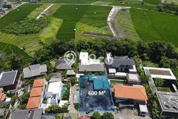 Tanah Dijual Area Strategis di Pererenan Badung 600m2 Tanah Dijual Area Strategis di Pererenan Badung 600m2