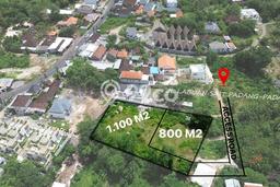 Kavling Tanah untuk Disewa di Pecatu Lahan Luas 1900m2 Kavling Tanah untuk Disewa di Pecatu Lahan Luas 1900m2