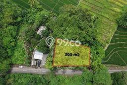 Tanah Siap Bangun Dijual di Badung Punya Luas 300m2 Tanah Siap Bangun Dijual di Badung Punya Luas 300m2