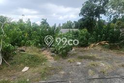 Tanah Dijual Area Strategis di Pererenan Badung 600m2 Tanah Dijual Area Strategis di Pererenan Badung 600m2