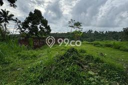 Kavling Tanah di Ubud Dijual Luas 2524m2 Legalitas SHM Kavling Tanah di Ubud Dijual Luas 2524m2 Legalitas SHM