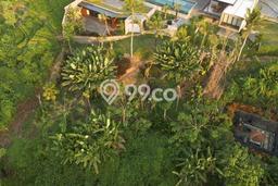 Vila di Canggu, Luas 2400m², Dekat ke Pusat Kota Vila di Canggu, Luas 2400m², Dekat ke Pusat Kota