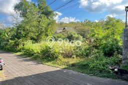 Tanah Kavling Dijual di Badung dengan Spesifikasi 477m2 Tanah Kavling Dijual di Badung dengan Spesifikasi 477m2