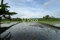 Tanah Kavling Dijual di Badung dengan Spesifikasi 650m2 Tanah Kavling Dijual di Badung dengan Spesifikasi 650m2