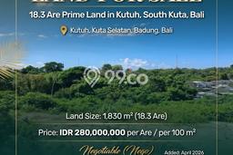 Tanah Dijual Lokasi Strategis di Badung dengan Luas 1830m2 Tanah Dijual Lokasi Strategis di Badung dengan Luas 1830m2