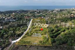 Tanah Dijual di Badung Seluas 10000m2 Strategis Tanah Dijual di Badung Seluas 10000m2 Strategis