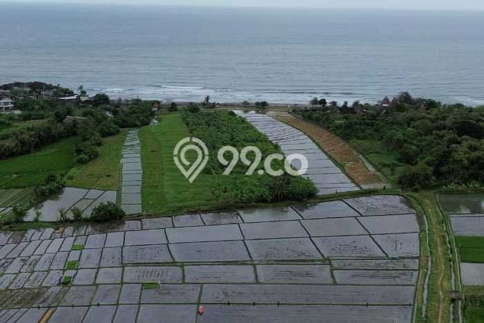 Tanah Kavling Dijual di Beraban, Tabanan dengan Luas Tanah 3300m2 Tanah Kavling Dijual di Beraban, Tabanan dengan Luas Tanah 3300m2