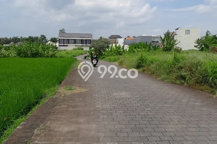 Tanah Siap Bangun Dijual di Tabanan Punya Luas 825m2 Tanah Siap Bangun Dijual di Tabanan Punya Luas 825m2