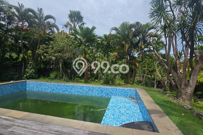 Untuk Disewa Tanah di Canggu Badung Seluas 2800m2 Untuk Disewa Tanah di Canggu Badung Seluas 2800m2