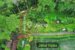 Tanah Kavling Dijual di Kedisan, Bangli dengan Luas Tanah 333m2 Tanah Kavling Dijual di Kedisan, Bangli dengan Luas Tanah 333m2