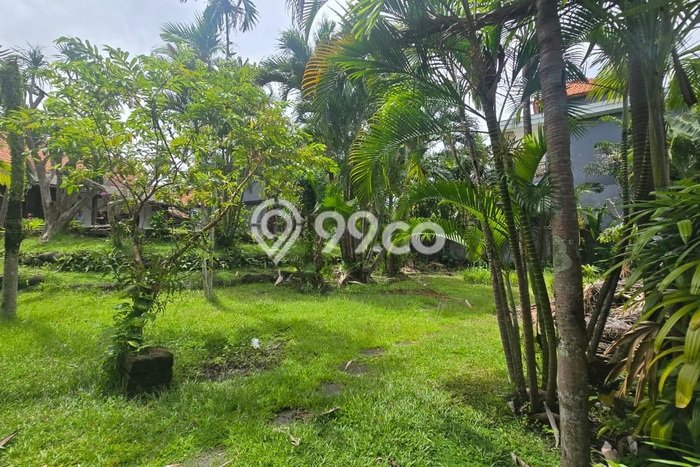 Untuk Disewa Tanah di Canggu Badung Seluas 2800m2 Untuk Disewa Tanah di Canggu Badung Seluas 2800m2