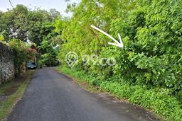 Tanah Disewakan Lokasi Pecatu Badung Luas 396m2 Tanah Disewakan Lokasi Pecatu Badung Luas 396m2