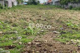 Tanah Dijual Lokasi Strategis di Badung dengan Luas 3450m2 Tanah Dijual Lokasi Strategis di Badung dengan Luas 3450m2