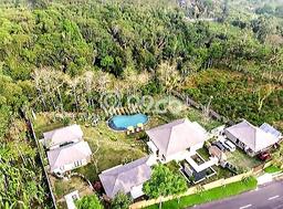 Rumah Eksklusif Dijual LT 3000m2 di Payangan, Gianyar Rumah Eksklusif Dijual LT 3000m2 di Payangan, Gianyar