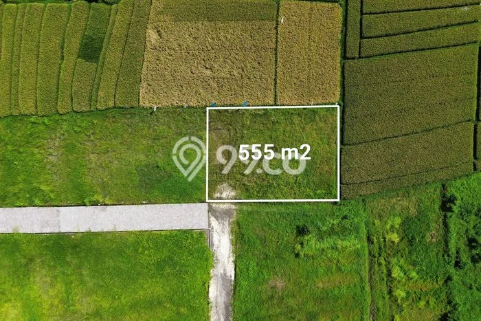 Kavling Tanah untuk Dijual di Kedungu, Tabanan, Luas 555m2 Kavling Tanah untuk Dijual di Kedungu, Tabanan, Luas 555m2