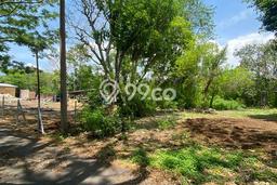 Tanah Kavling Dijual di Badung dengan Spesifikasi 3080m2 Tanah Kavling Dijual di Badung dengan Spesifikasi 3080m2