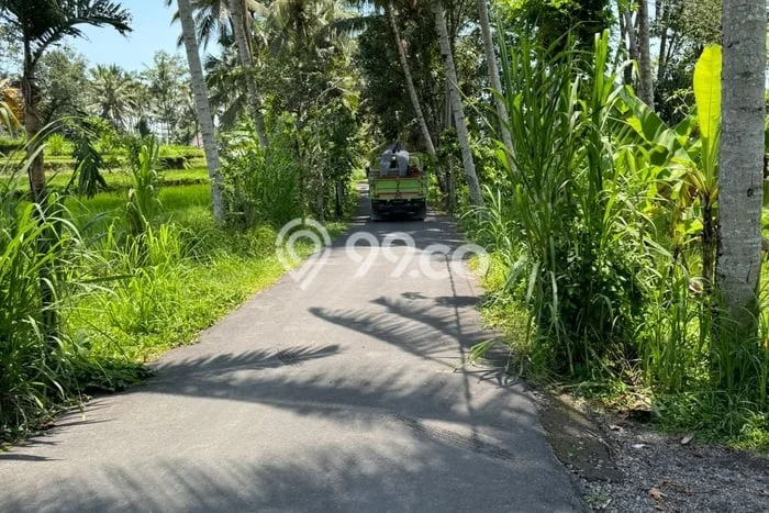 Lahan Dijual Lokasi Strategis di Gianyar dengan Luas 2542m2 Lahan Dijual Lokasi Strategis di Gianyar dengan Luas 2542m2