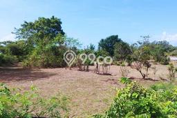 Tanah Dijual Lokasi Kuta, Badung Luas 5300m2 Legalitas Aman Tanah Dijual Lokasi Kuta, Badung Luas 5300m2 Legalitas Aman