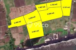 Dijual Tanah Lokasi Tulikup, Gianyar Seluas 21500m2 Dijual Tanah Lokasi Tulikup, Gianyar Seluas 21500m2