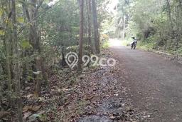 Tanah Kavling untuk Dijual di Girimulyo Kulon Progo 1446m2 Tanah Kavling untuk Dijual di Girimulyo Kulon Progo 1446m2