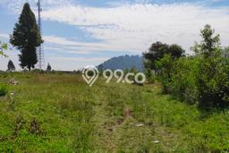 Dijual Tanah di Ciwidey Bandung Luas 4575m2 SHM Dijual Tanah di Ciwidey Bandung Luas 4575m2 SHM
