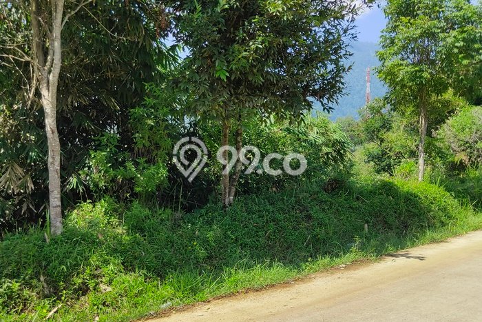 Lahan Kosong Dijual di Ciwidey, Bandung, Luas 2875m2 Area Strategis Lahan Kosong Dijual di Ciwidey, Bandung, Luas 2875m2 Area Strategis