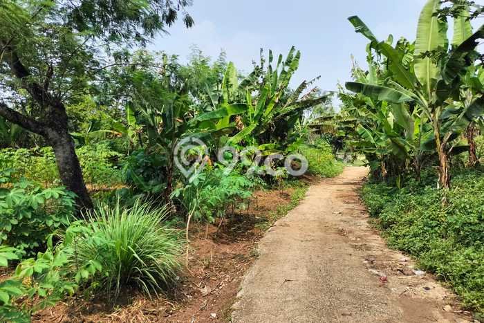 Lahan Strategis di Baleendah Dijual dengan Luas 1040m2 Lahan Strategis di Baleendah Dijual dengan Luas 1040m2
