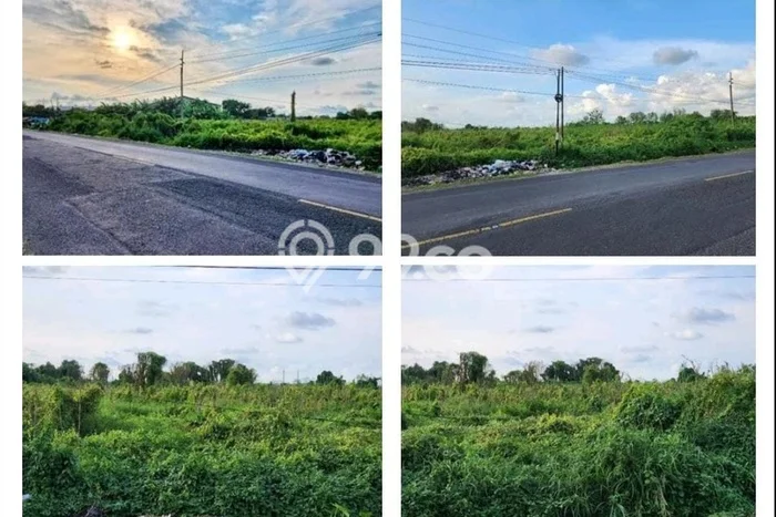 Tanah untuk Dijual di Bangkalan Bangkalan Luas 7064m2 Tanah untuk Dijual di Bangkalan Bangkalan Luas 7064m2